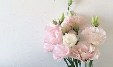 温馨感人的家庭亲情：描写亲人之间的深厚情感和团结的语句