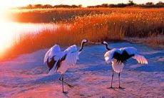 如何用积极的心态和愉快的态度结束一天，保持生活的乐观和活力？