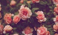 为人们提供一些劝慰及鼓励的口号，帮助他们保持开心和乐观的心态