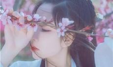 探讨友情长盛不衰，永远不会褪色的崇高言语