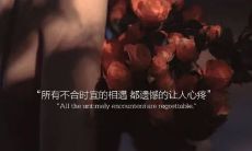 搜罗了全世界最具价值的文案句子，让你珍藏终身的宝贵财富