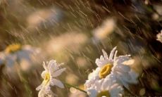 从成长到成熟：探索人生经验和阅历的难忘旅程