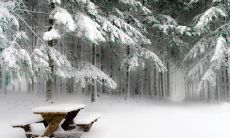 如何培养积极、健康的心态：探讨一些可持续运用的心理箴言和行为准则