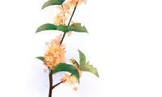 愈发争吵情感加深，情谊更牢印心——表达越怼越爱的友情句子