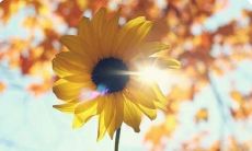 2021年劳动节，我的一句话感悟：珍视劳动，追寻幸福，共建美好未来！