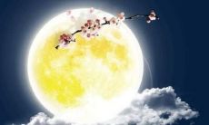 呈现中秋节团圆之美的优美诗歌句子