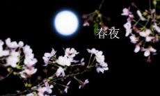 在春天醉人的夜晚，让我们沉醉在那些美丽动人的文句中吧！