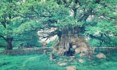 一个充满亲情浓厚的家庭，其成员之间的联系和温暖情感，让人感受到家的温馨与幸福