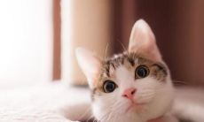 一堆令人愉悦，充满幽默感的句子，让你快乐到爆炸！