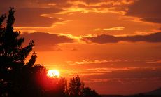 掏心掏肺，倾诉心路——让我们来分享一些令人心烦心伤的句子