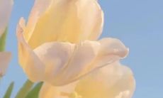 让你快乐起来的有趣短语：简短而精彩！