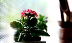 蕴含着欢笑与愉悦，能够带来联结和快乐的仿佛永远在一起享受时光的微笑和心情