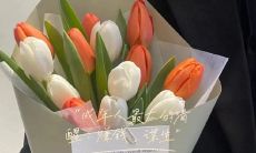 探索生活的真谛：令人醍醐灌顶的感悟语句，助您获得更多智慧！