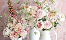 友情的火星文非主流表达方式