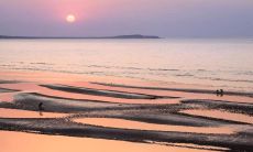 2022年最具励志力量的经典短句，涵盖人生哲理、成功智慧与行动力，值得珍藏！