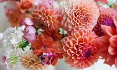 用摘抄友情或母爱的词语句子段落装点心灵，感受生命中的真挚情感与美好人情