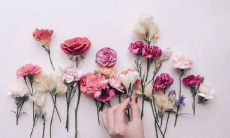 当友谊走向尽头，茶凉而人离，唏嘘无尽的离别之句