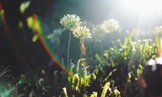 家庭中亲情伤痛引发的疼痛，让人心神受创的感人句子