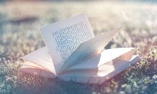 20个充满深情亲情哲理的富有情感的句子，让你感受家庭温暖和关爱！