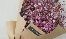 经历过失望的人，对爱会如何谈论？——探讨那些令人扫兴的句子子