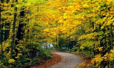 周末问候短信：秋季的祝福和问候，让心与心更靠近