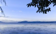 当我们相识，那些深藏在心底的句子便开始变得重要：探讨句子在建立关系中的作用