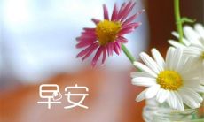 12月的美妙早晨，送上温暖的问候：欢迎开启美好一天的心灵启示语句！