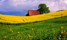 一些生活快乐、自在潇洒的句子，帮助你活出潇洒开心的人生