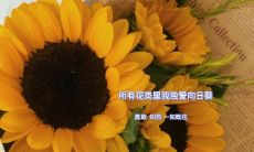 在这个美好的早晨，迎接您的是一句令人感到温暖、舒适和惬意的问候