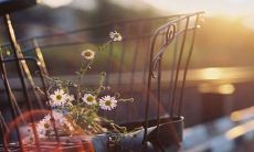 探寻激发回忆的情感之源：关于童年友情的深刻句子