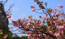 在气温转凉的春天，发给朋友的问候短信