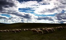 探讨人类对于永恒不灭的信念与理念：永恒座右铭的探索与思考