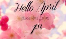 四月份的常用口语短语分享, 让你的语言表达更生动多彩！