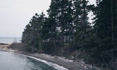 通过短信向家长发送问候和感谢的长篇标题：致家长的感恩问候！我们通过短信向所有家长传递心灵的问候和真挚的感谢，感恩这个伟大的群体为学生和学校做出的辛勤付出！