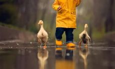 用精彩的语言描绘孩子无忧无虑、洋溢着开心快乐的情景