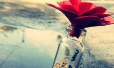 探寻唯美的发朋友圈早安句子，让你的朋友圈更具温暖与诗意