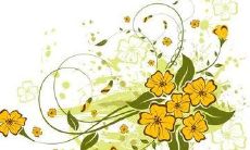 通过短信友好问候，分享有关养生的知识和建议