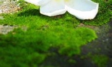 一些感人血缘亲情句子，让你深刻体验家庭的温暖和亲情的力量