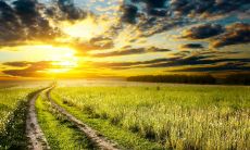 与健康相关的短信：在发送问候短信时，要时刻关注身体健康状况