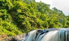 汇集了各种关于大雨的友情句子，让你感受到朋友间共同经历磨难的力量和独特温馨氛围