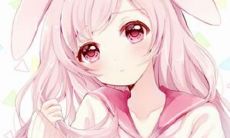 唯美的句子探究友情与缘分之美