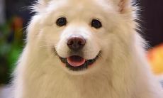 如何在友情中保持长久的关系：一些富含智慧的友谊格言