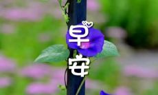 一句简单干净而充满能量的迎接美好一天的语句