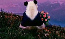 听了都会心疼的令人感同身受、饱含同情的话语经历分享