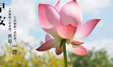 每日早安语录：带给你正能量和灵感的启示！