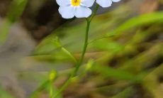 在这个酷热夏季中，心静如水的感受又是如何？