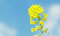 在多雨的日子里，记得多加衣物并发出温暖的问候短信给亲朋好友