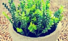 祥和宁静的措辞，适于使内心平静安宁的话语