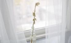 享受余生的简单快乐：让开心陪伴你的每一个句子