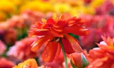 珍爱友谊，分享幽默——一些表达心情的句子和短语